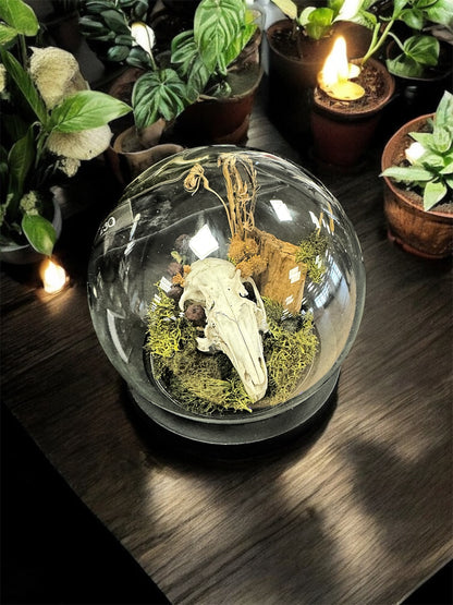 Rabbit Skull Dome