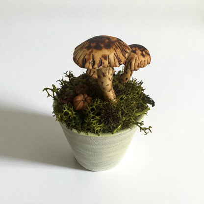 Three Shroom Pot