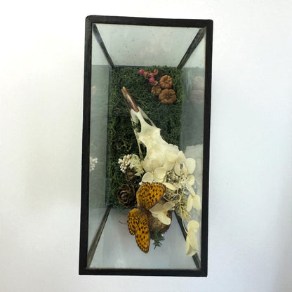 Vintage Wood & Glass Display Cases
