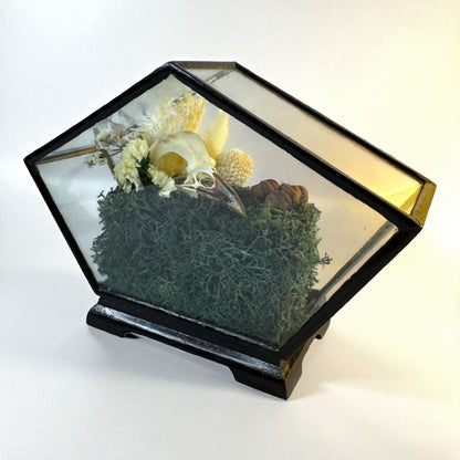 Vintage Wood & Glass Display Cases