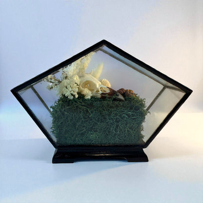 Vintage Wood & Glass Display Cases