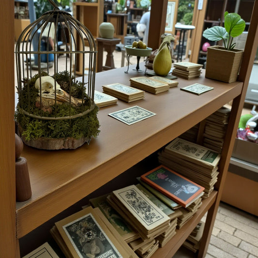 Bird Cage