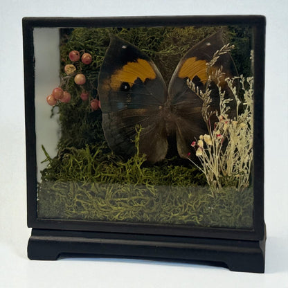 Vintage Wood & Glass Display Cases