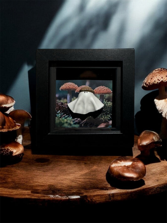 Mushroom Hat Ghost Box (White or Black Frame)