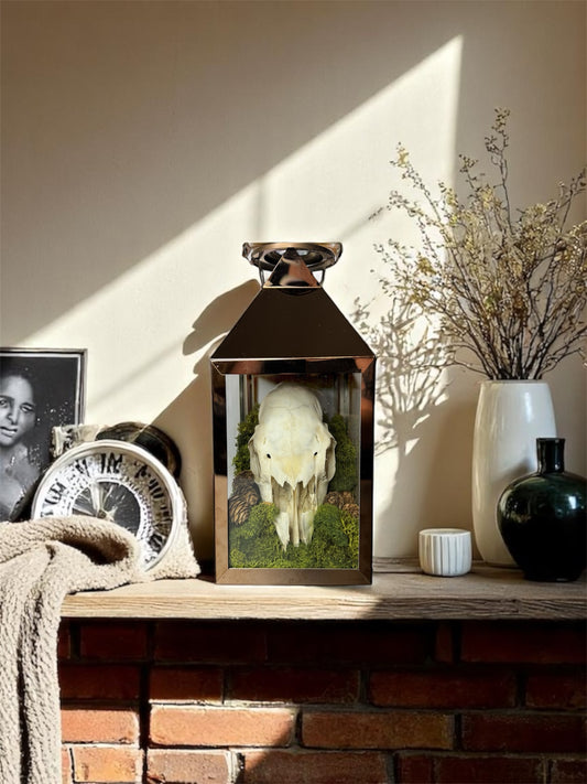 Copper Sheep Skull Lantern