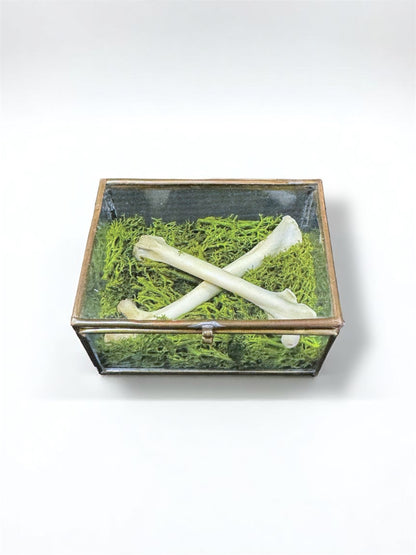 Vintage Glass Trinket Boxes