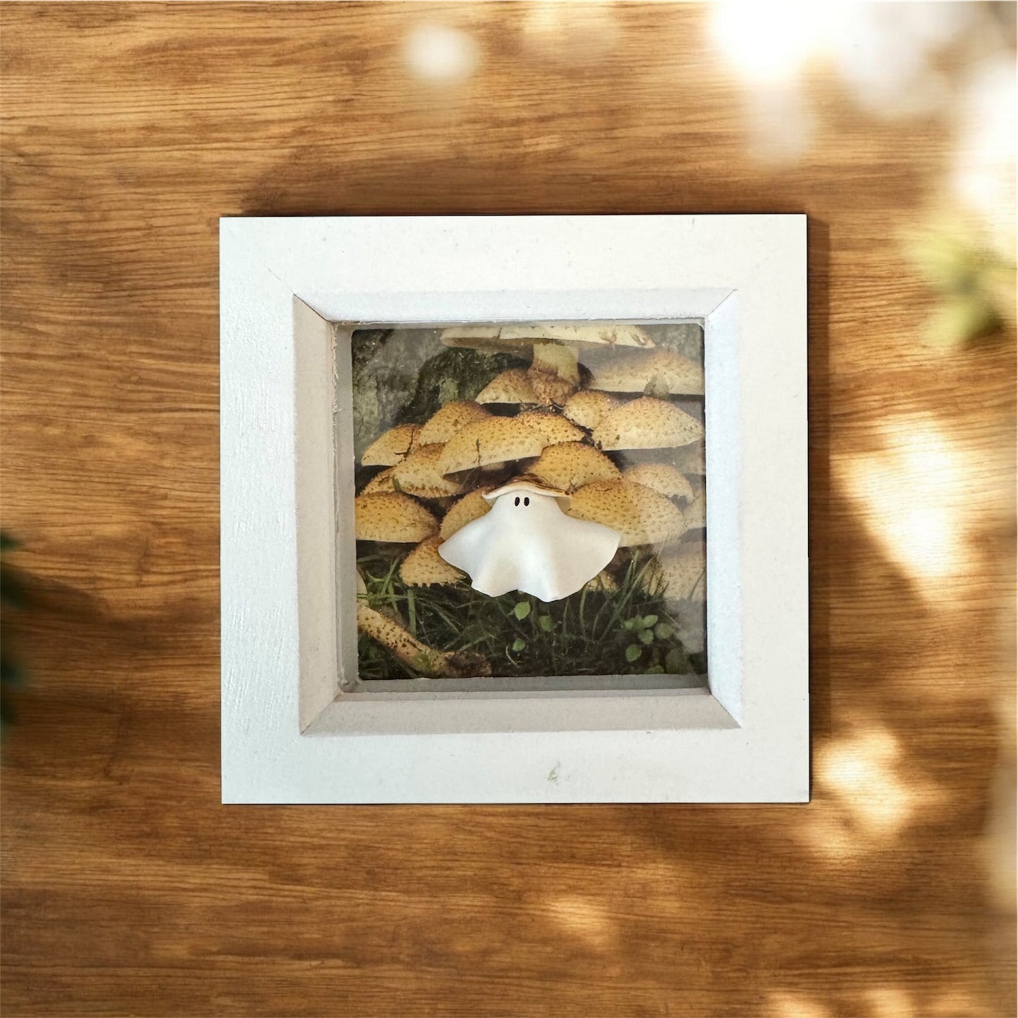 Mushroom Hat Ghost Box (White or Black Frame)