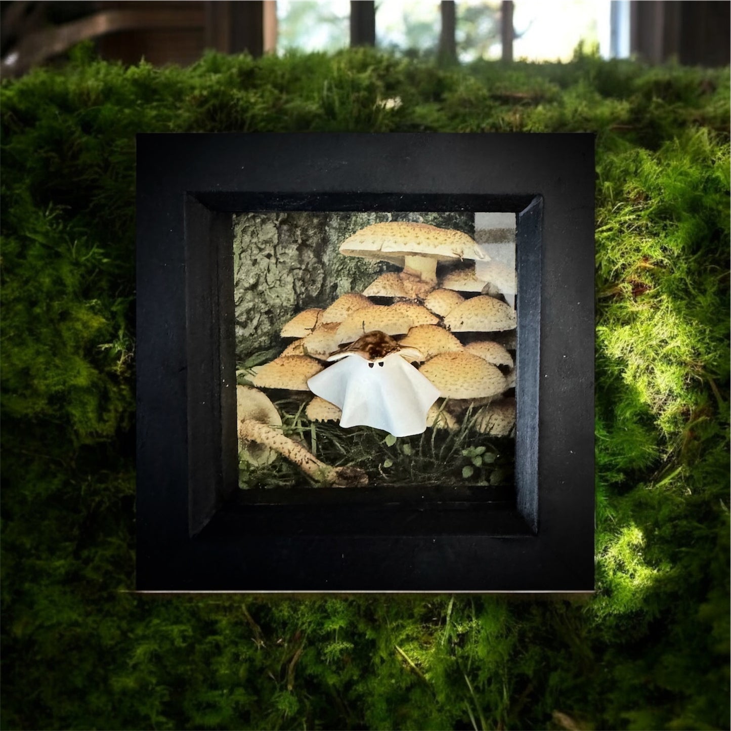 Mushroom Hat Ghost Box (White or Black Frame)