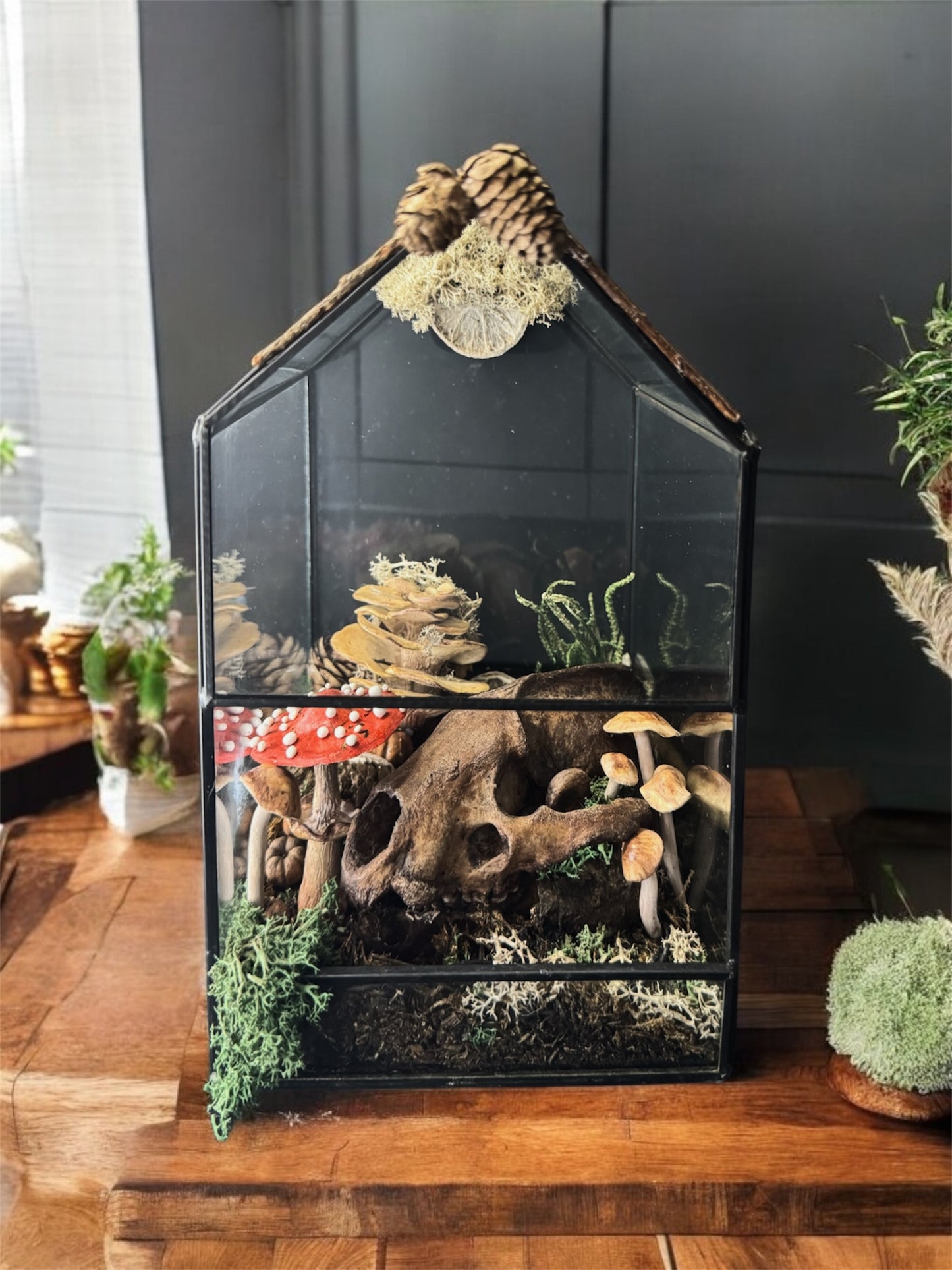 Badger Skull Light Up Terrarium