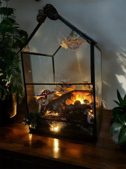 Badger Skull Light Up Terrarium