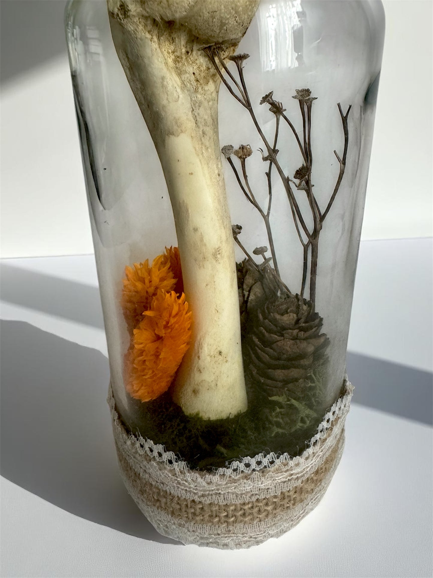Bone Bottles