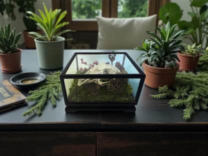 Vintage Wood & Glass Display Cases