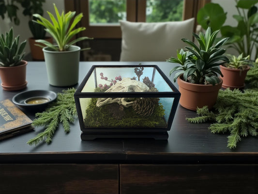 Vintage Wood & Glass Display Cases