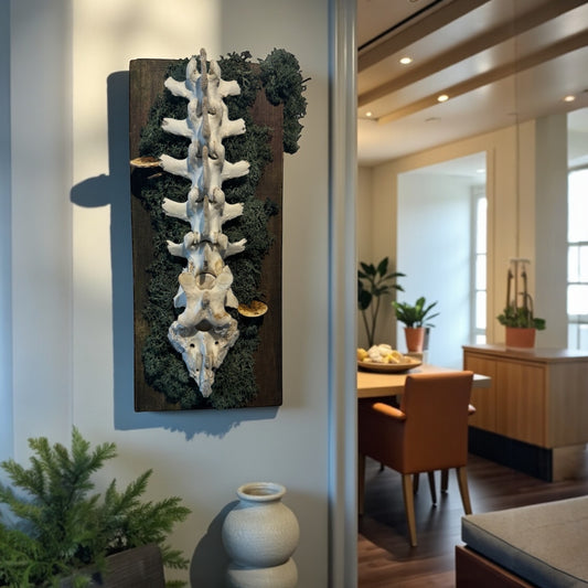 Spine Hanging Piece