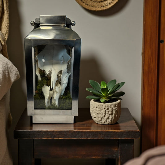 Sheep Skull Light Up Lantern
