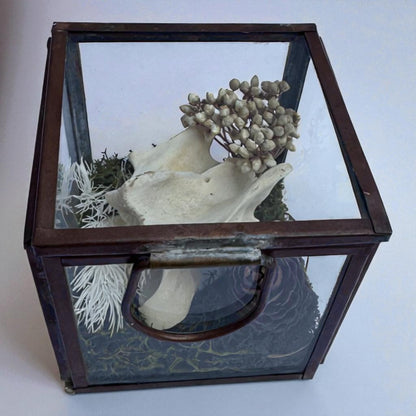 Vintage Glass Trinket Boxes