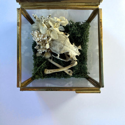 Vintage Glass Trinket Boxes