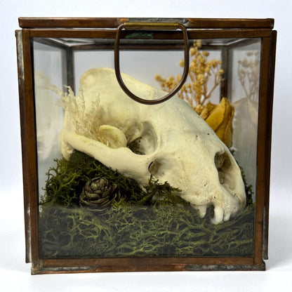 Vintage Glass Trinket Boxes