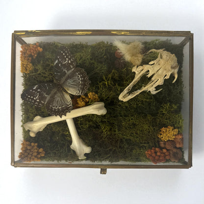 Vintage Glass Trinket Boxes