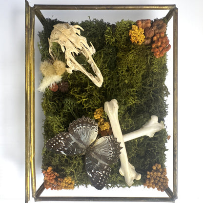 Vintage Glass Trinket Boxes
