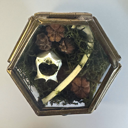 Vintage Glass Trinket Boxes