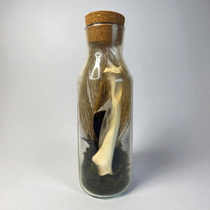 Bone Bottles