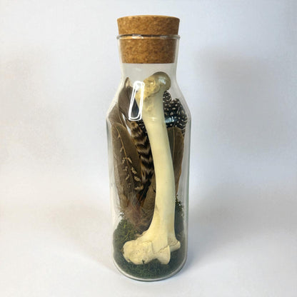 Bone Bottles