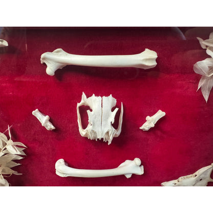 Framed Pieces